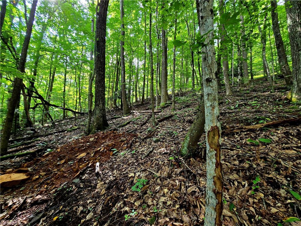 Tbd Red Fox Trail Boone, NC 28607 - Photo 13 of 16 Septic area