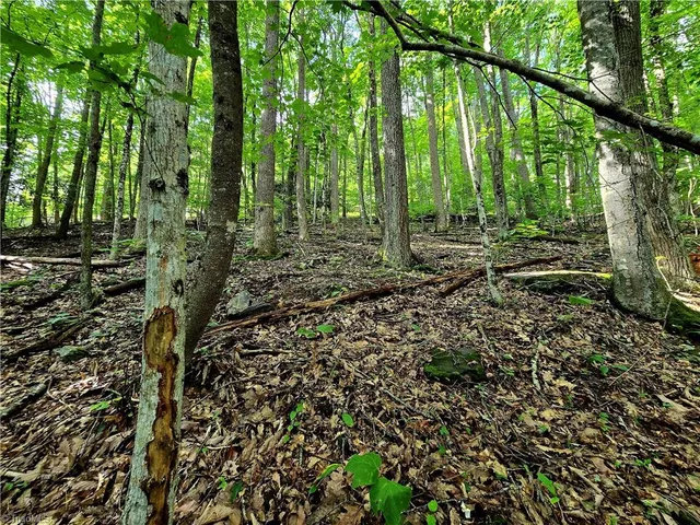 $130,000 | Tbd Red Fox Trail, Boone, NC 28607