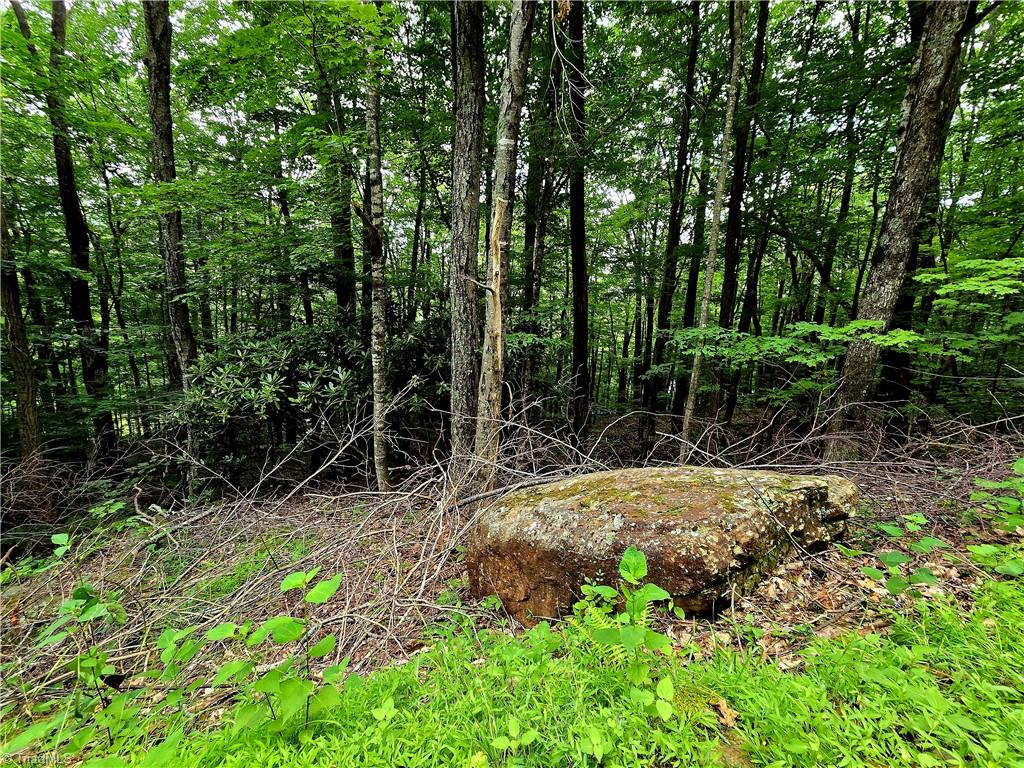 Tbd Red Fox Trail Boone, NC 28607 - Photo 15 of 16