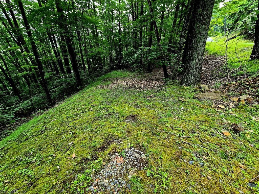 Tbd Red Fox Trail Boone, NC 28607 - Photo 2 of 16 Driveway