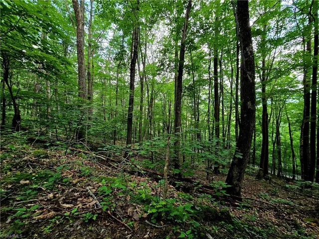 $130,000 | Tbd Red Fox Trail, Boone, NC 28607