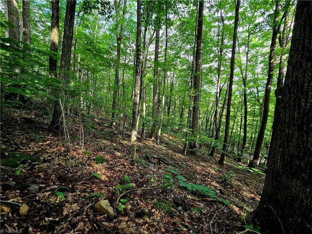 $130,000 | Tbd Red Fox Trail, Boone, NC 28607