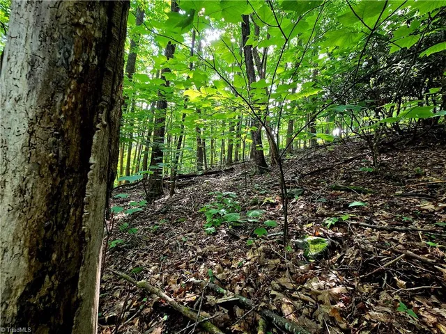 $130,000 | Tbd Red Fox Trail, Boone, NC 28607