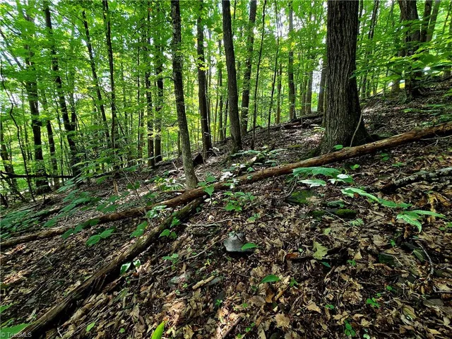 $130,000 | Tbd Red Fox Trail, Boone, NC 28607