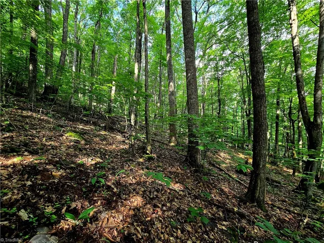 $130,000 | Tbd Red Fox Trail, Boone, NC 28607