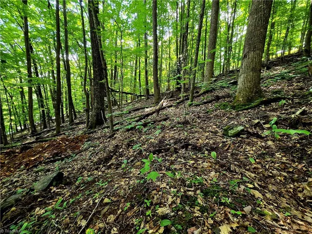 $130,000 | Tbd Red Fox Trail, Boone, NC 28607