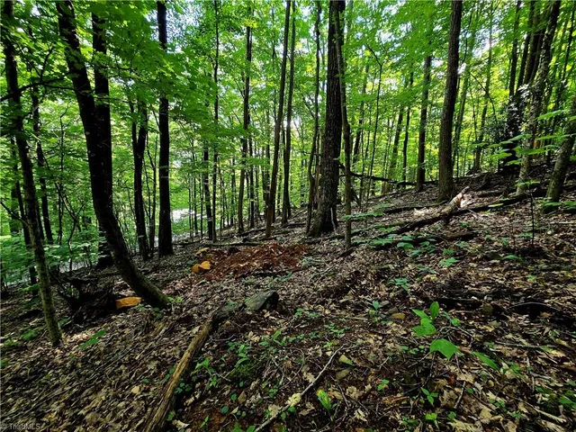 $130,000 | Tbd Red Fox Trail, Boone, NC 28607