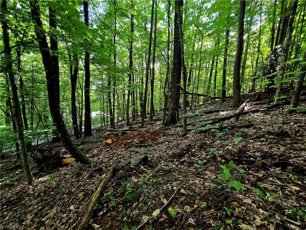 Tbd Red Fox Trail Boone, NC 28607 - Photo 10 of 16