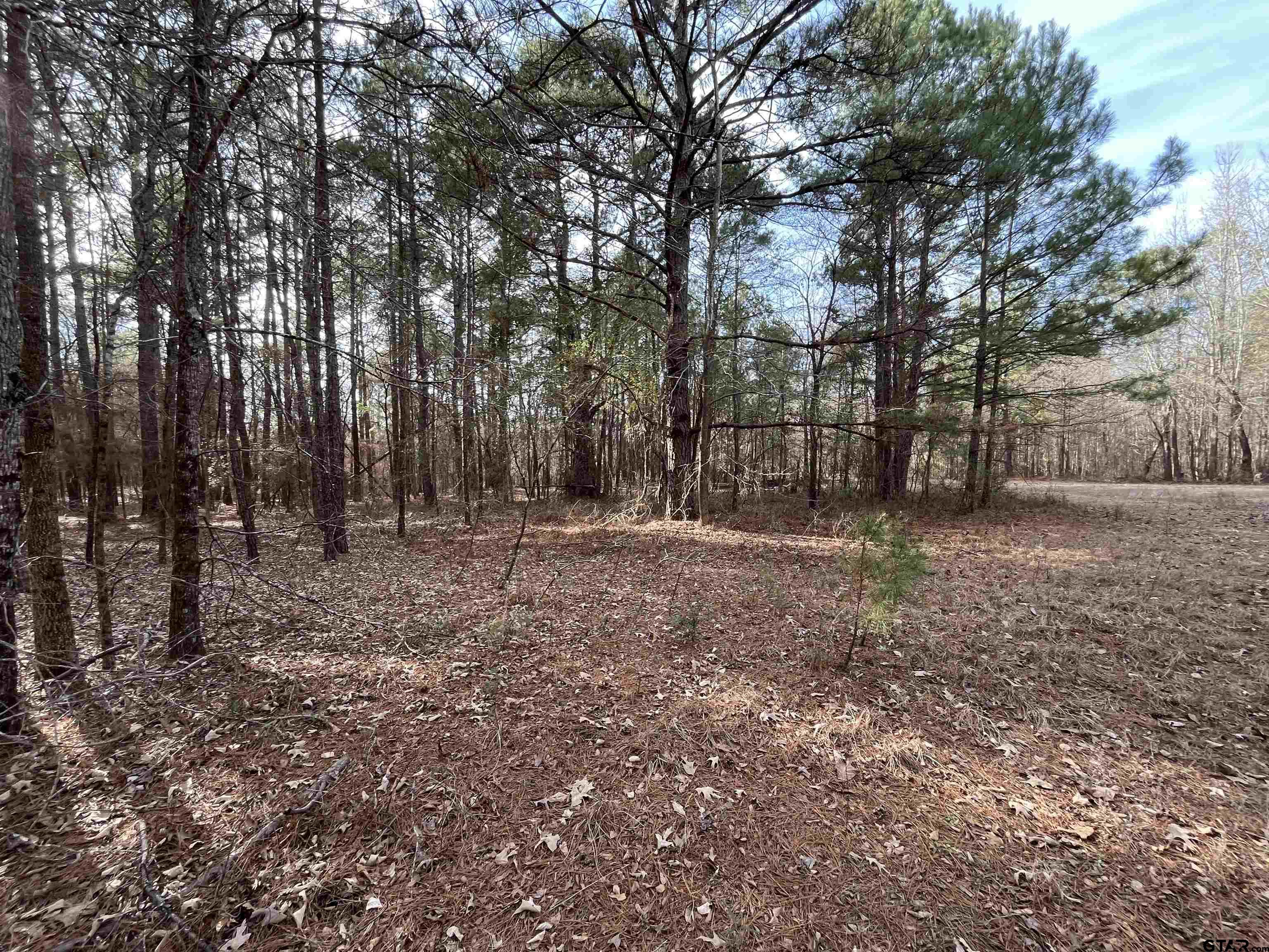 Tbd Venus Road Gladewater, TX 75647 - Photo 21 of 29