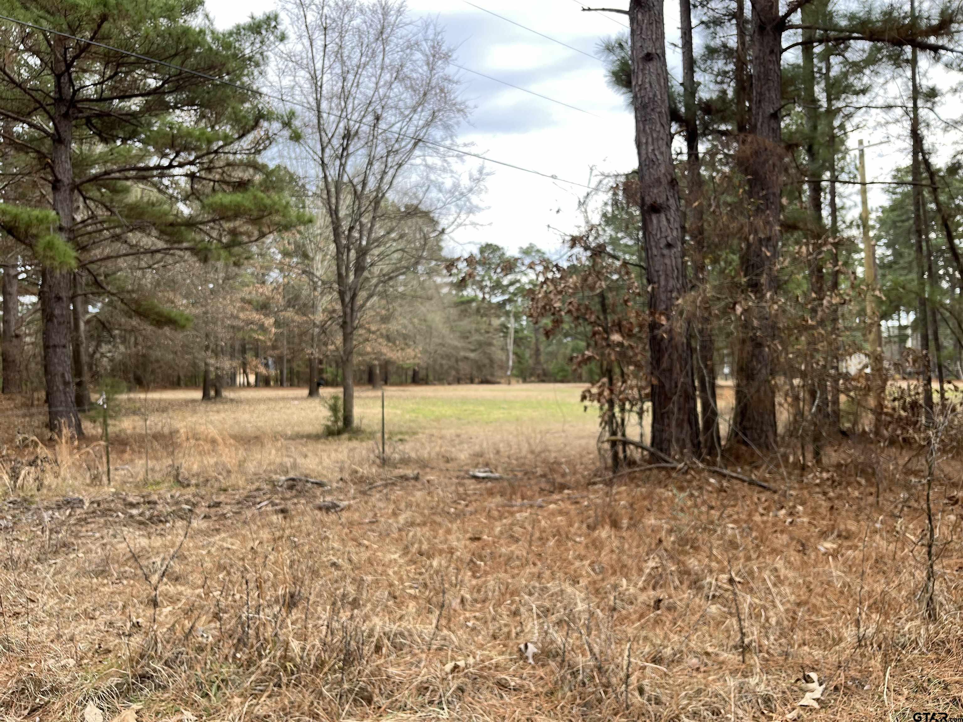 Tbd Venus Road Gladewater, TX 75647 - Photo 25 of 29