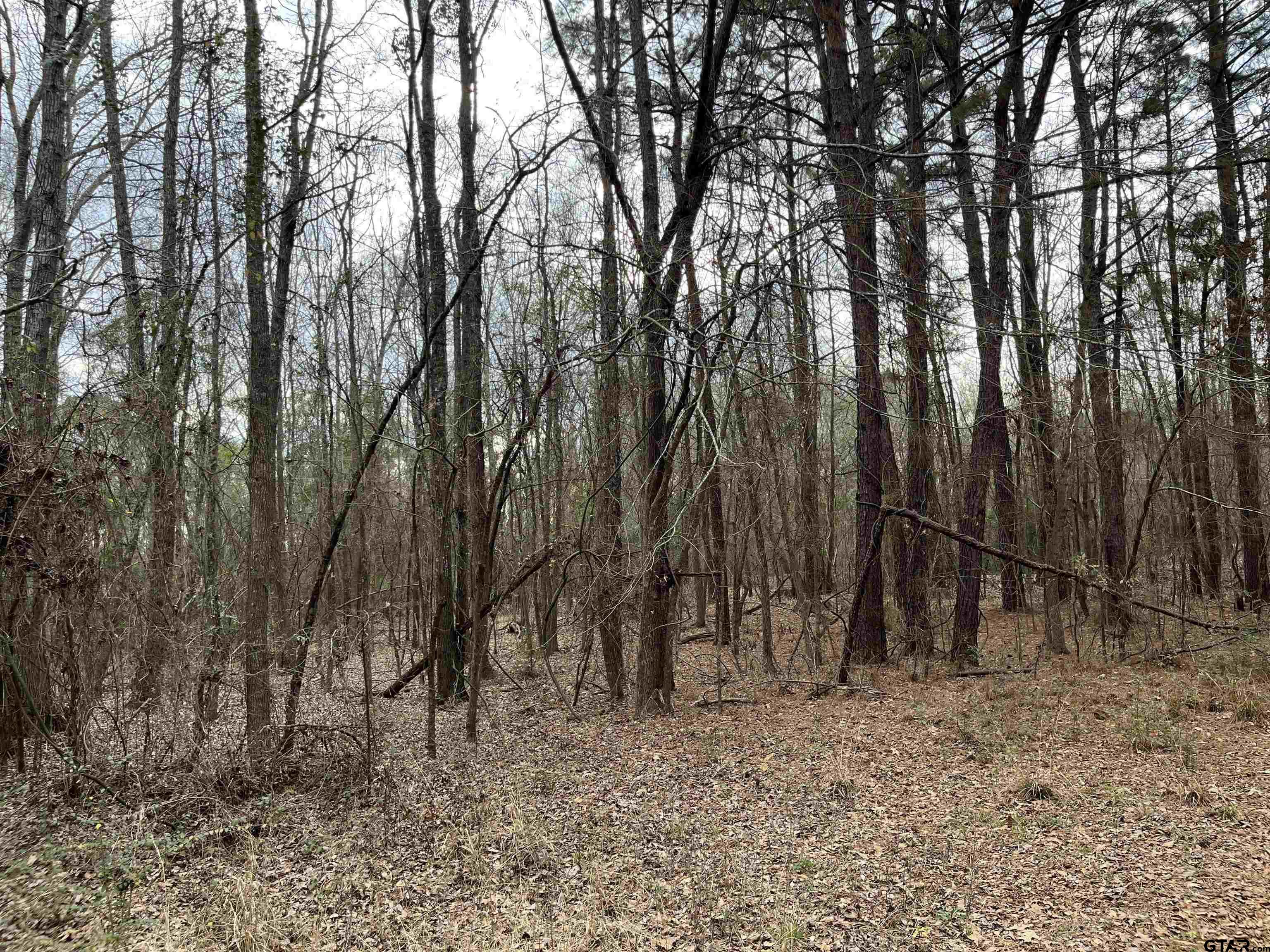 Tbd Venus Road Gladewater, TX 75647 - Photo 27 of 29