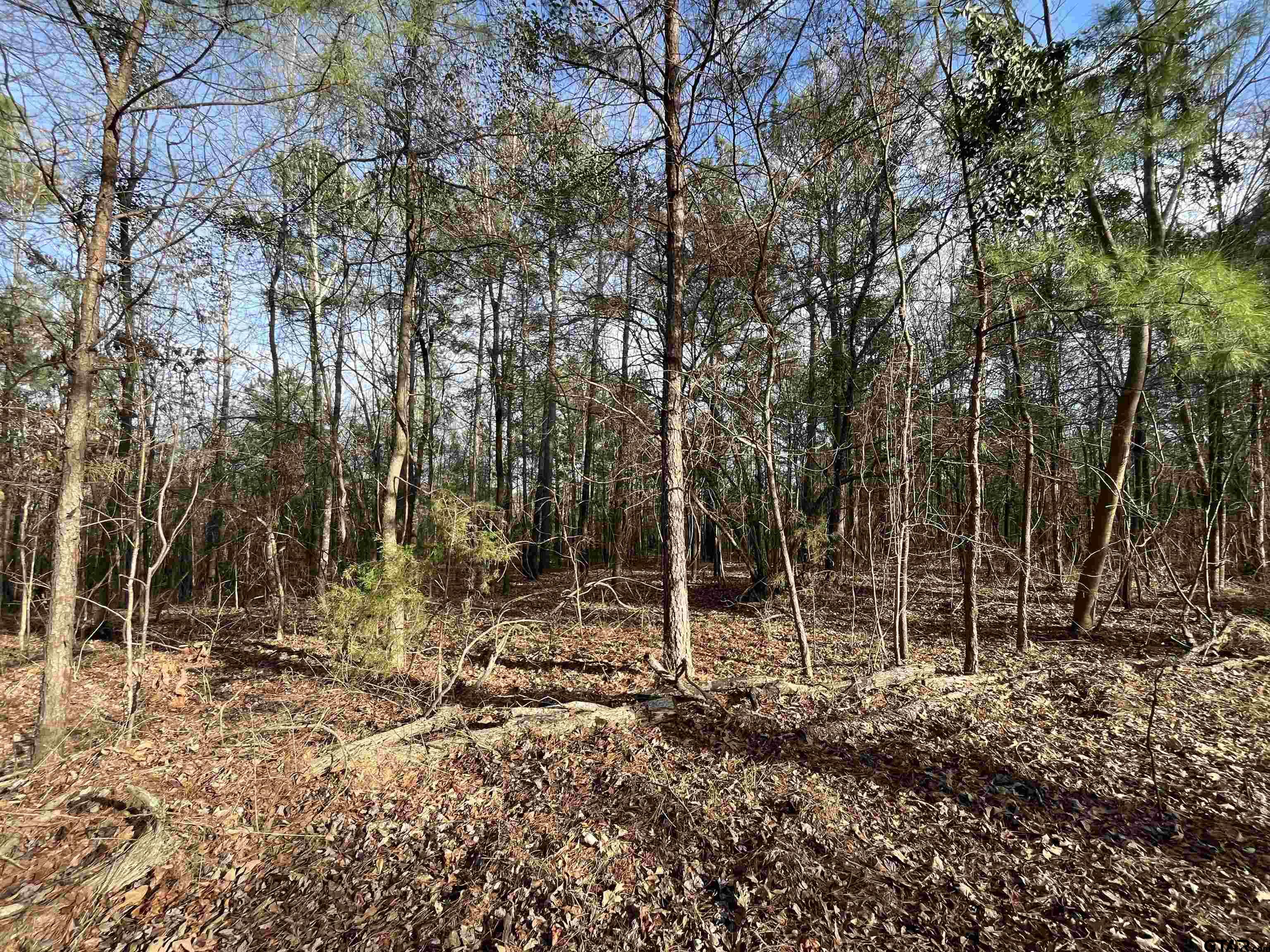 Tbd Venus Road Gladewater, TX 75647 - Photo 6 of 29
