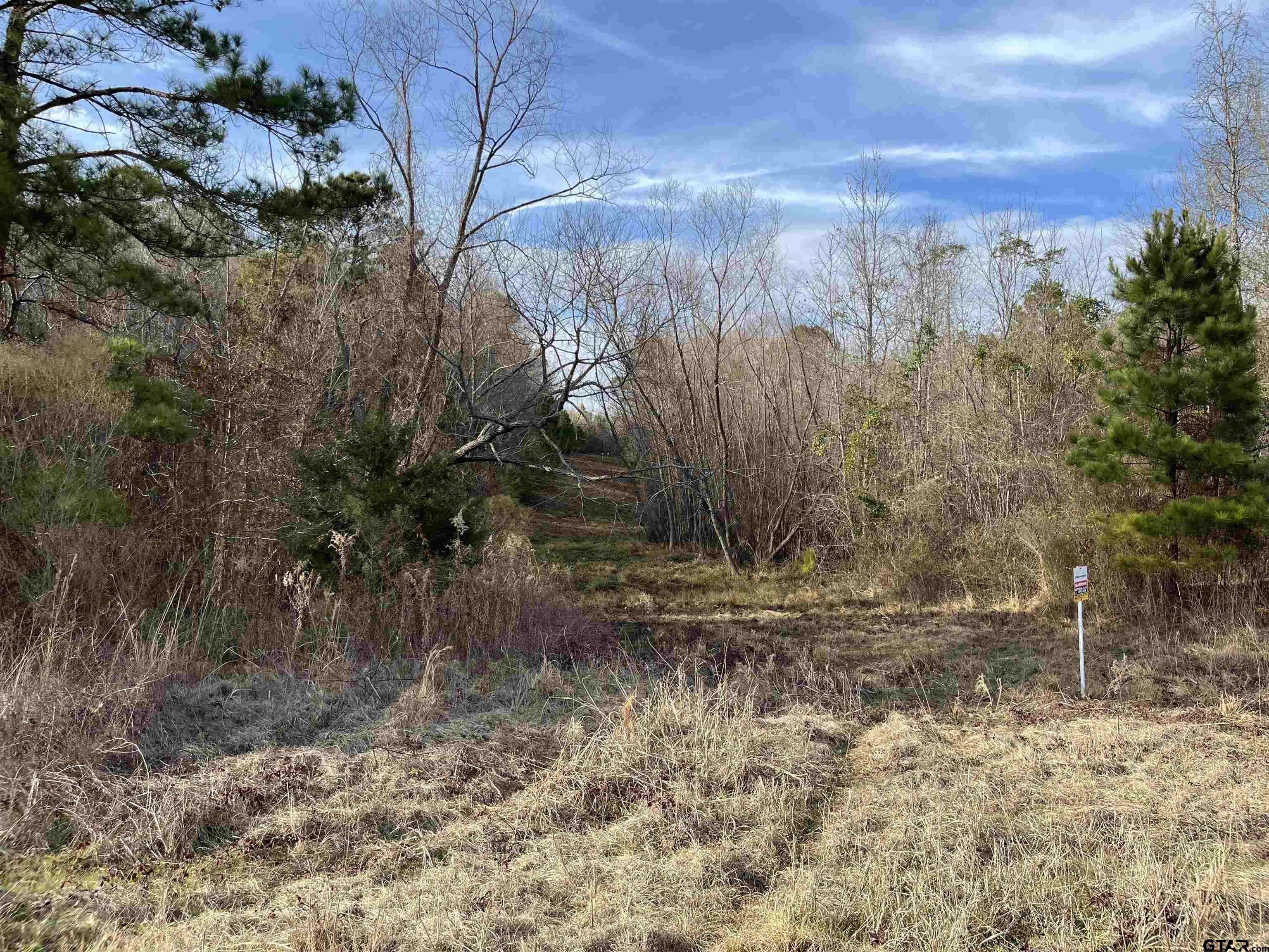 Tbd Venus Road Gladewater, TX 75647 - Photo 8 of 29