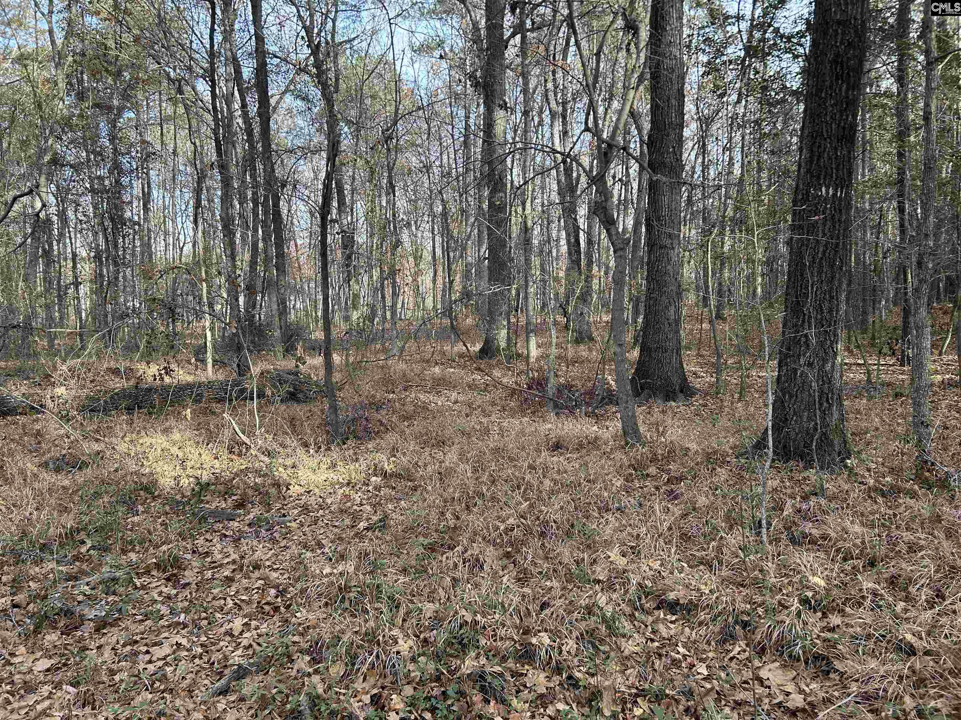 440 Paschal Road Elgin, SC 29045 - Photo 15 of 23