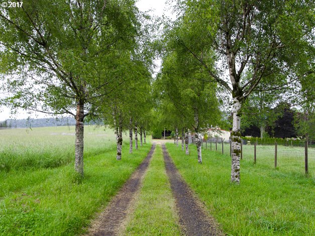 19495 Southeast Chambers Road Sandy, OR 97055 - Photo 2 of 32 a view of green field with trees