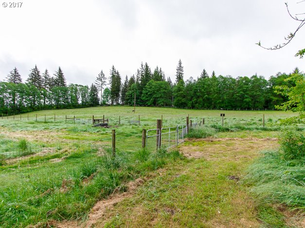 19495 Southeast Chambers Road Sandy, OR 97055 - Photo 28 of 32 a view of a green field with trees in the background