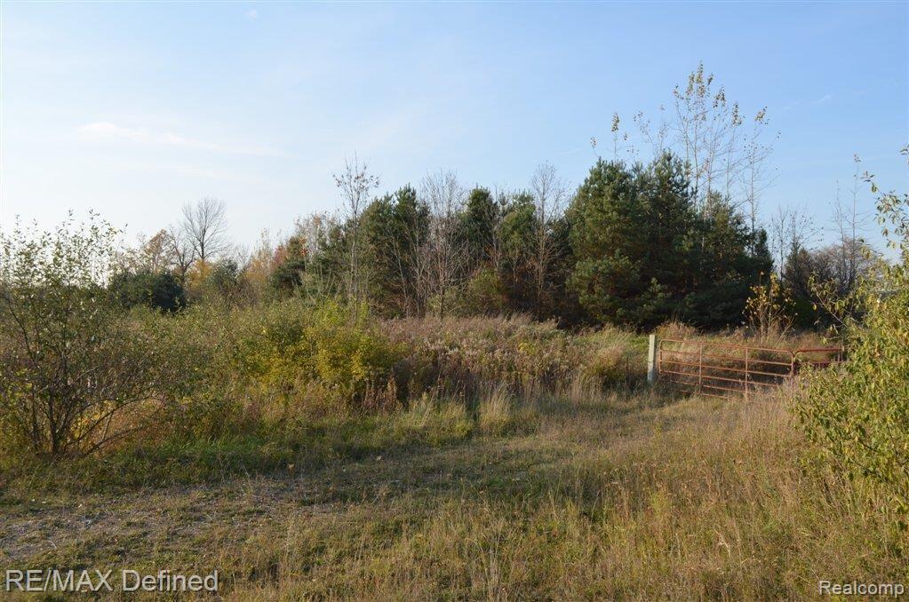 0 Crawford Road Oxford, MI 48371 - Photo 7 of 9