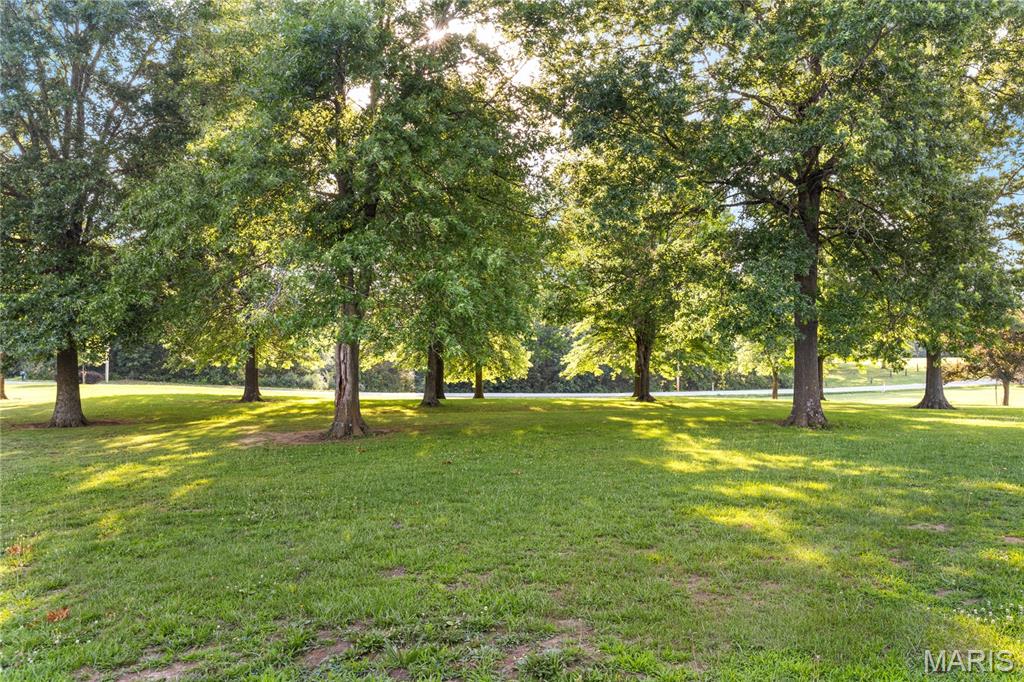 794 Linns Mill Road Troy, MO 63379 - Photo 15 of 22