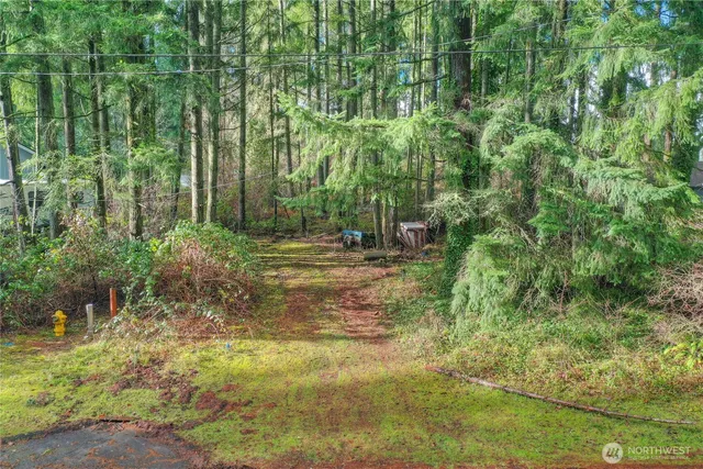 a view of outdoor space and trees