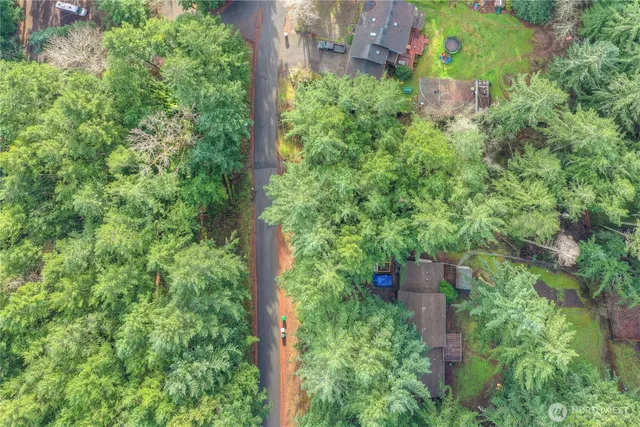 an aerial view of a house with a yard and large trees