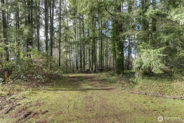 a view of outdoor space and green space