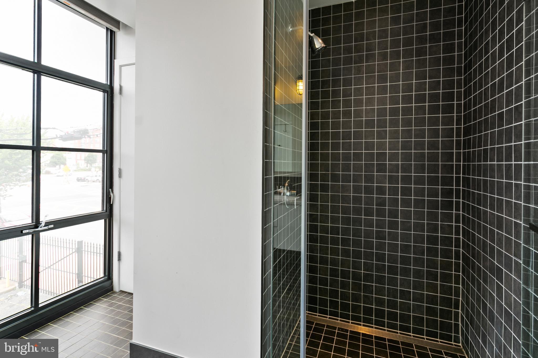 2030 8th Street Northwest, Unit 209 Washington, DC 20001 - Photo 13 of 29 Master bathroom shower