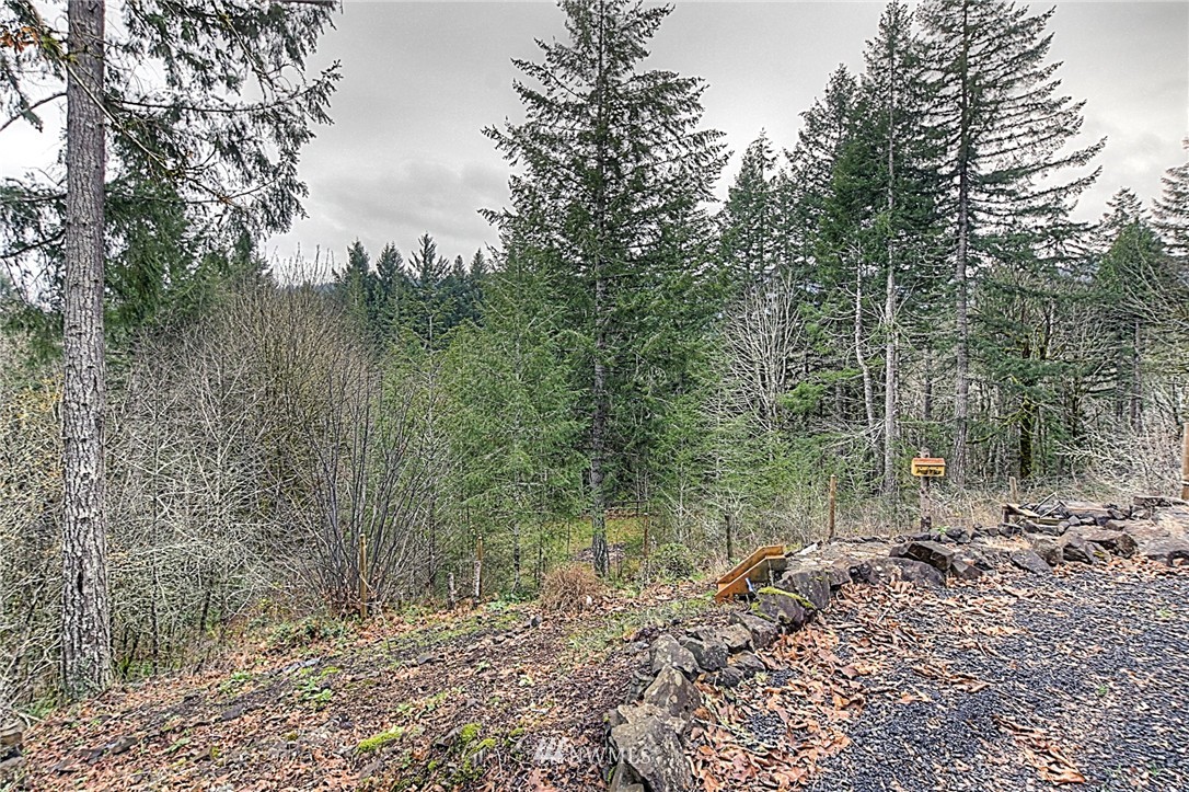 6921 Cedar Flats Road Southwest Olympia, WA 98512 - Photo 24 of 25 Gallery Image 24
