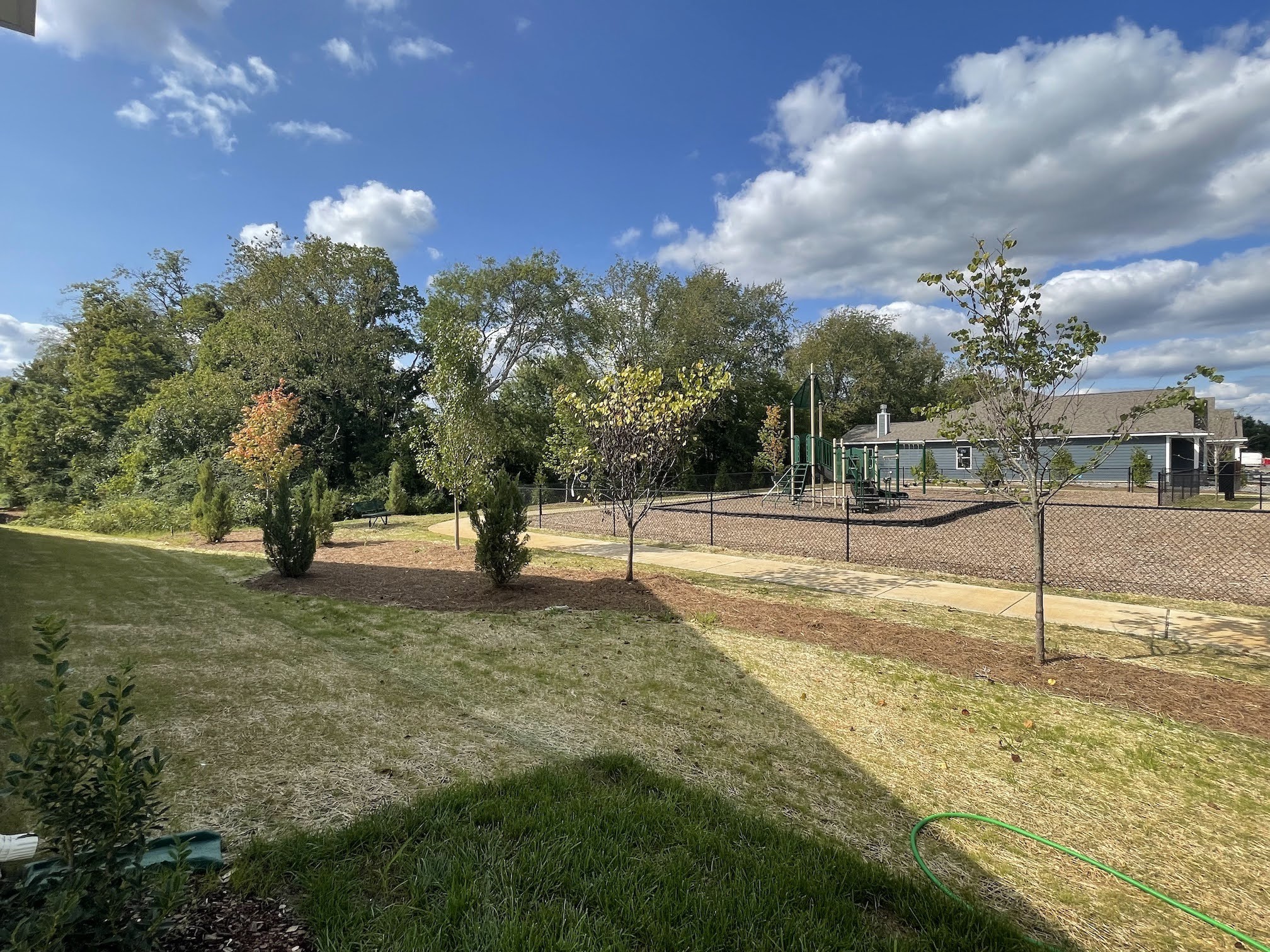 2922 Campanella Drive Murfreesboro, TN 37128 - Photo 18 of 21 a view of a yard with swimming pool
