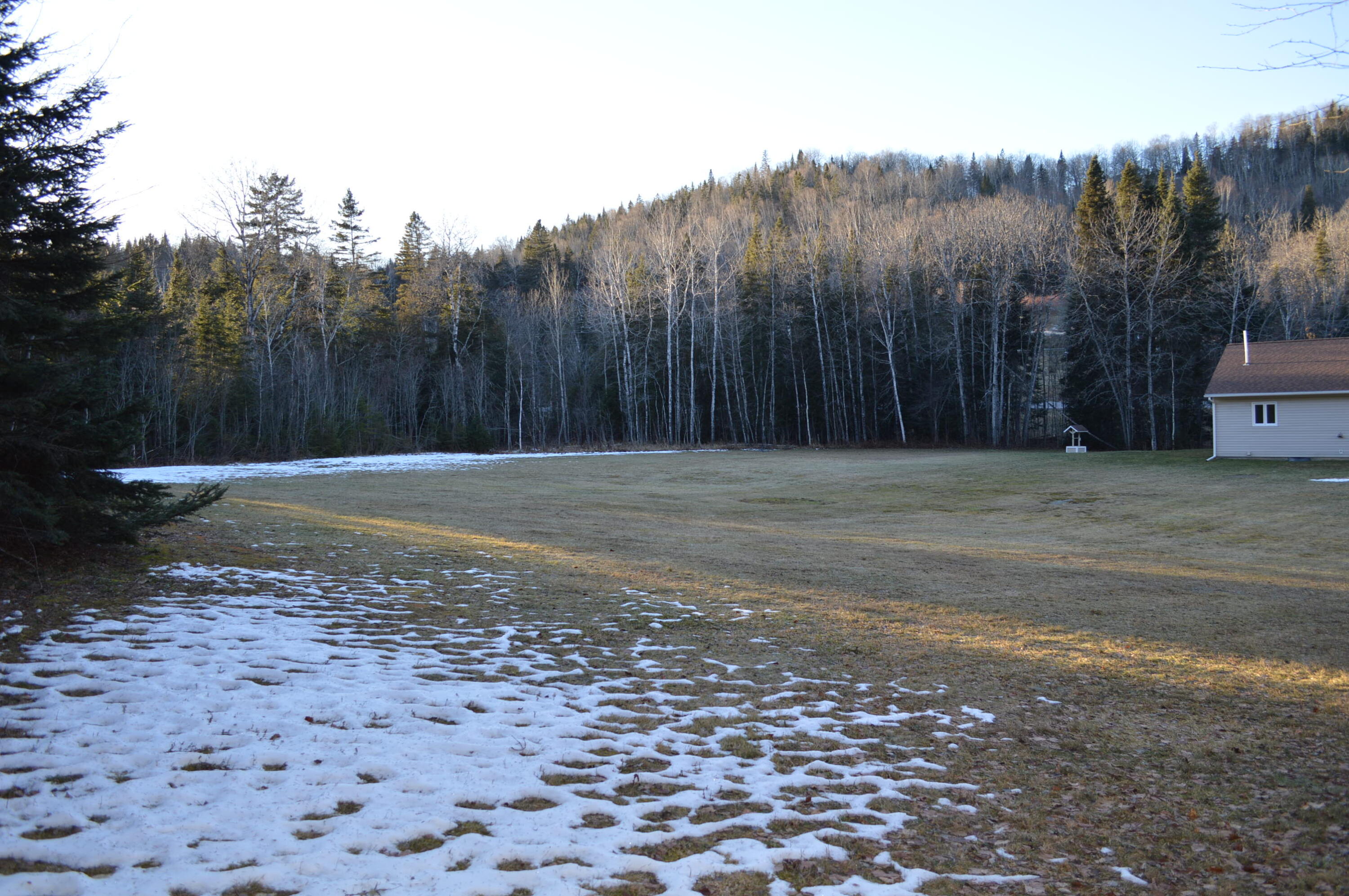 342 Aroostook Road Fort Kent, ME 04743 - Photo 15 of 68 Back yard