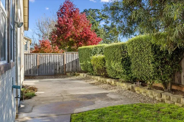 a view of a back yard of the house