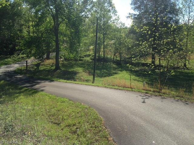 177 Boone Gap Road Boomer, NC 28606 - Photo 19 of 26 Meandering Drive