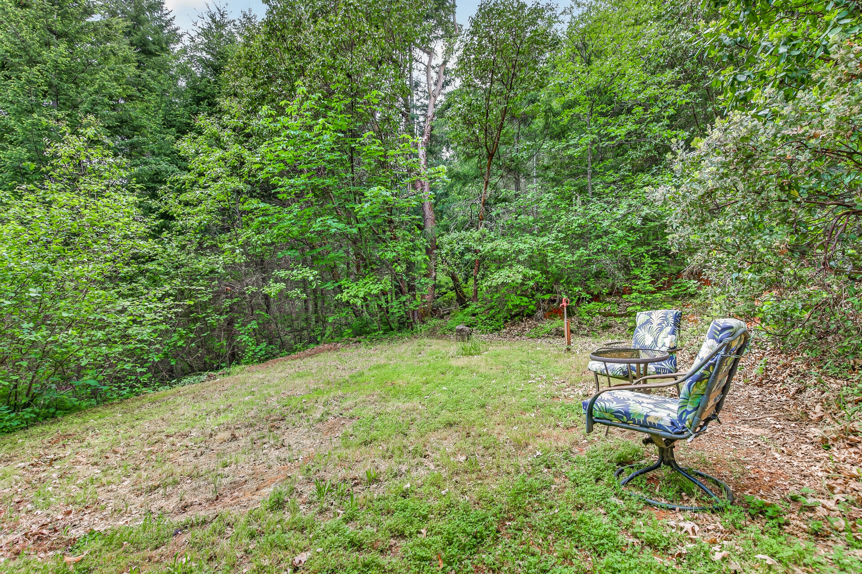181 Brimstone Road Wolf Creek, OR 97497 - Photo 48 of 72 55-57