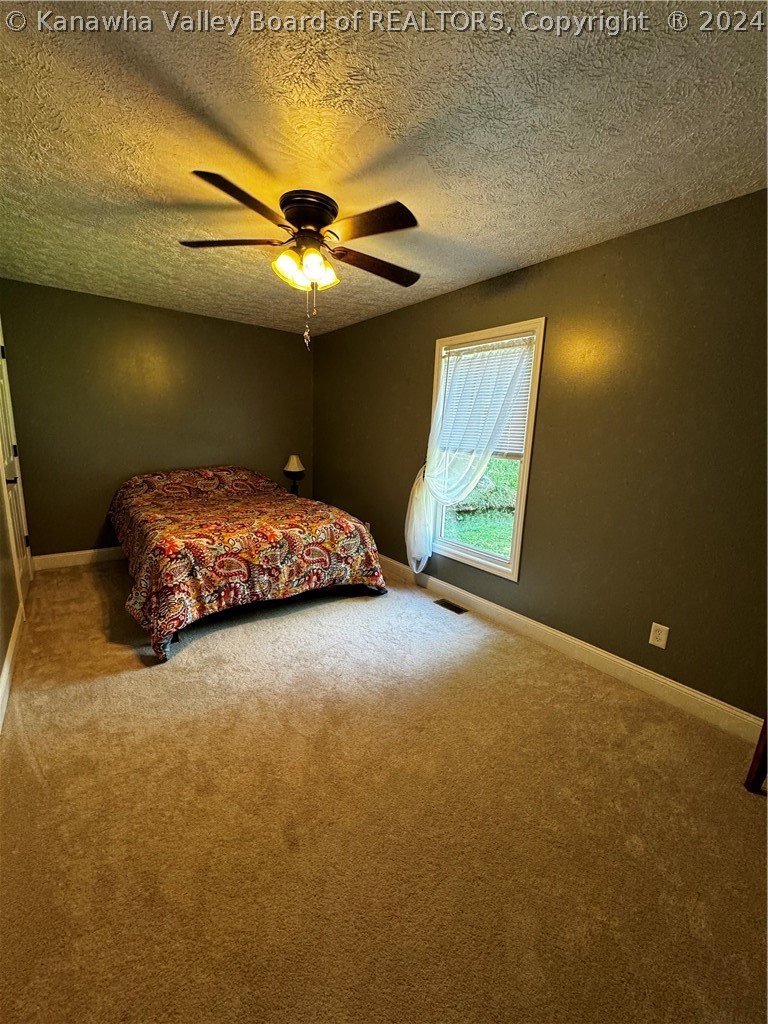 347 Frances Creek Road Harts, WV 25524 - Photo 12 of 41 Gallery Image 12