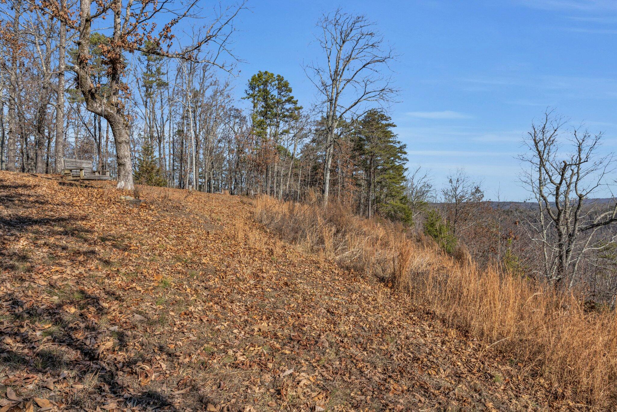 601 Stallings Road Trenton, GA 30752 - Photo 33 of 33 45-web-or-mls-601-stallings-rd