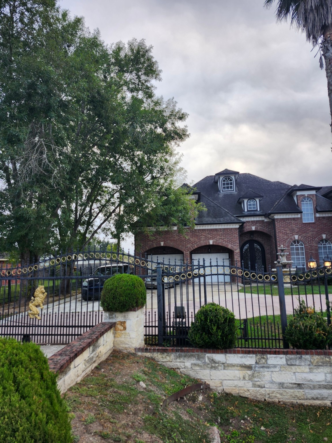 a view of a house with a small yard and plants