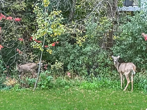 $350,000 | 6230 Boulder Ridge Drive, Rockford, MN 55373