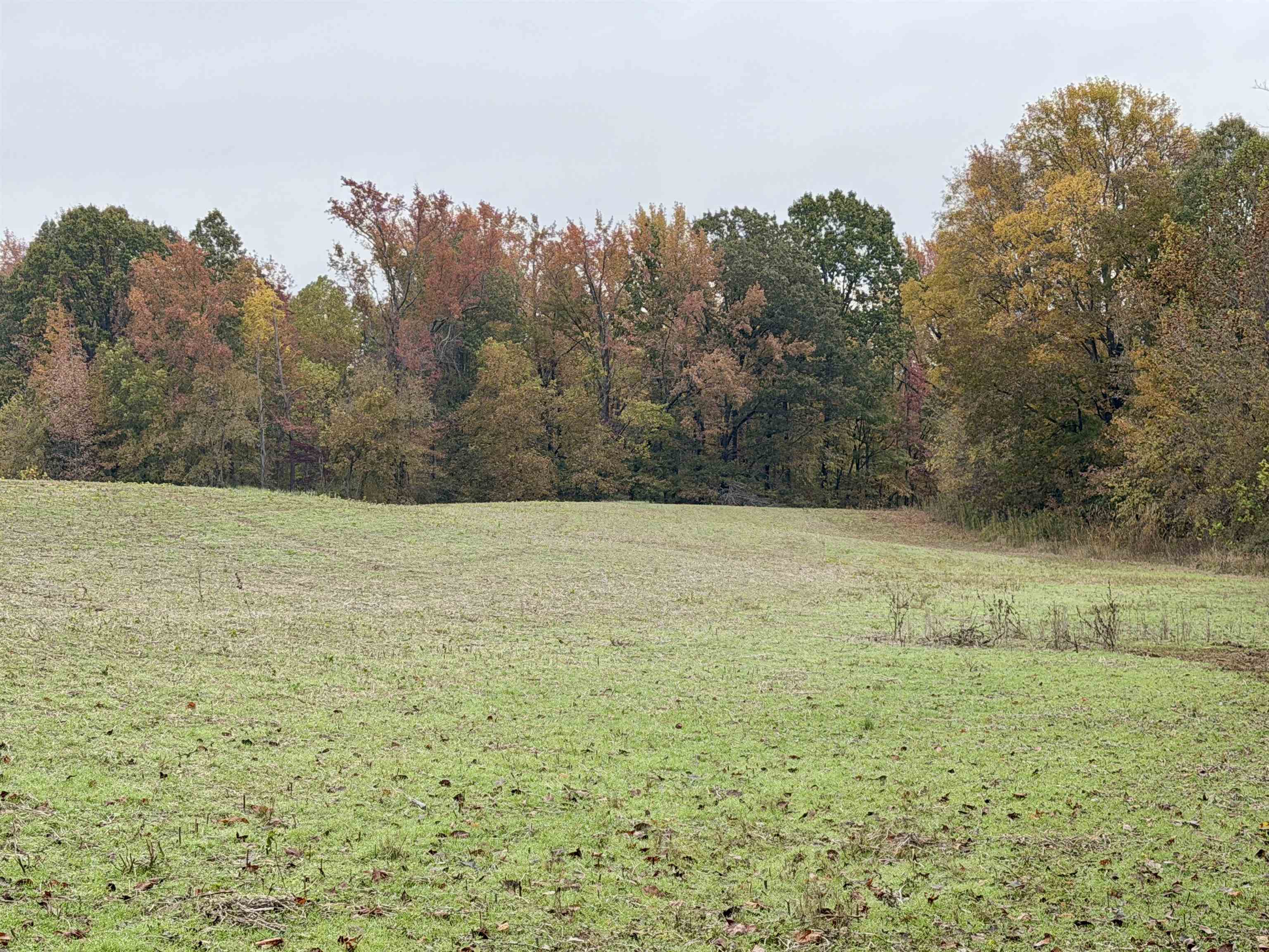 View of local wilderness featuring rural landscape