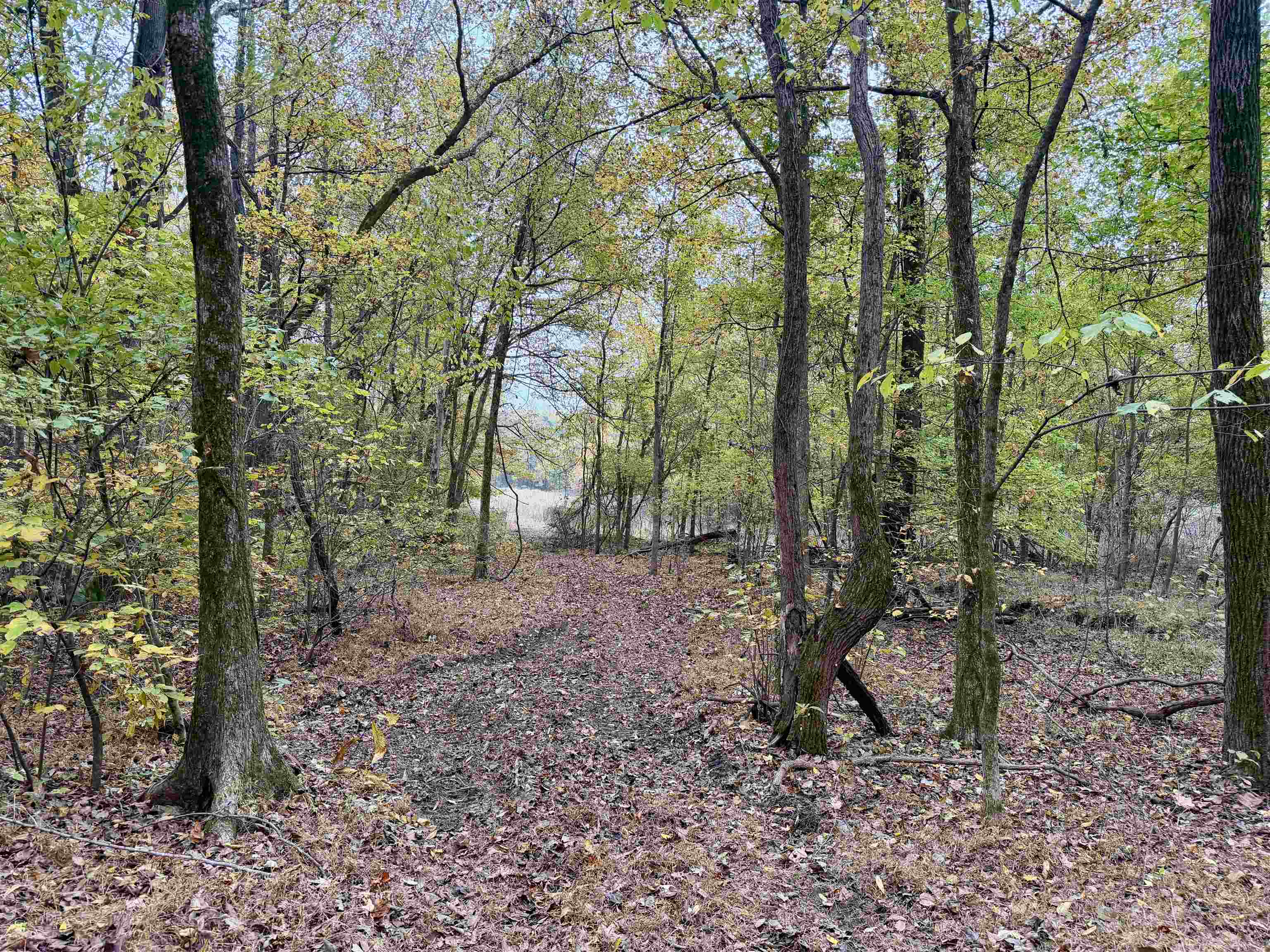 William Switch Road Ripley, TN 38063 - Photo 12 of 39