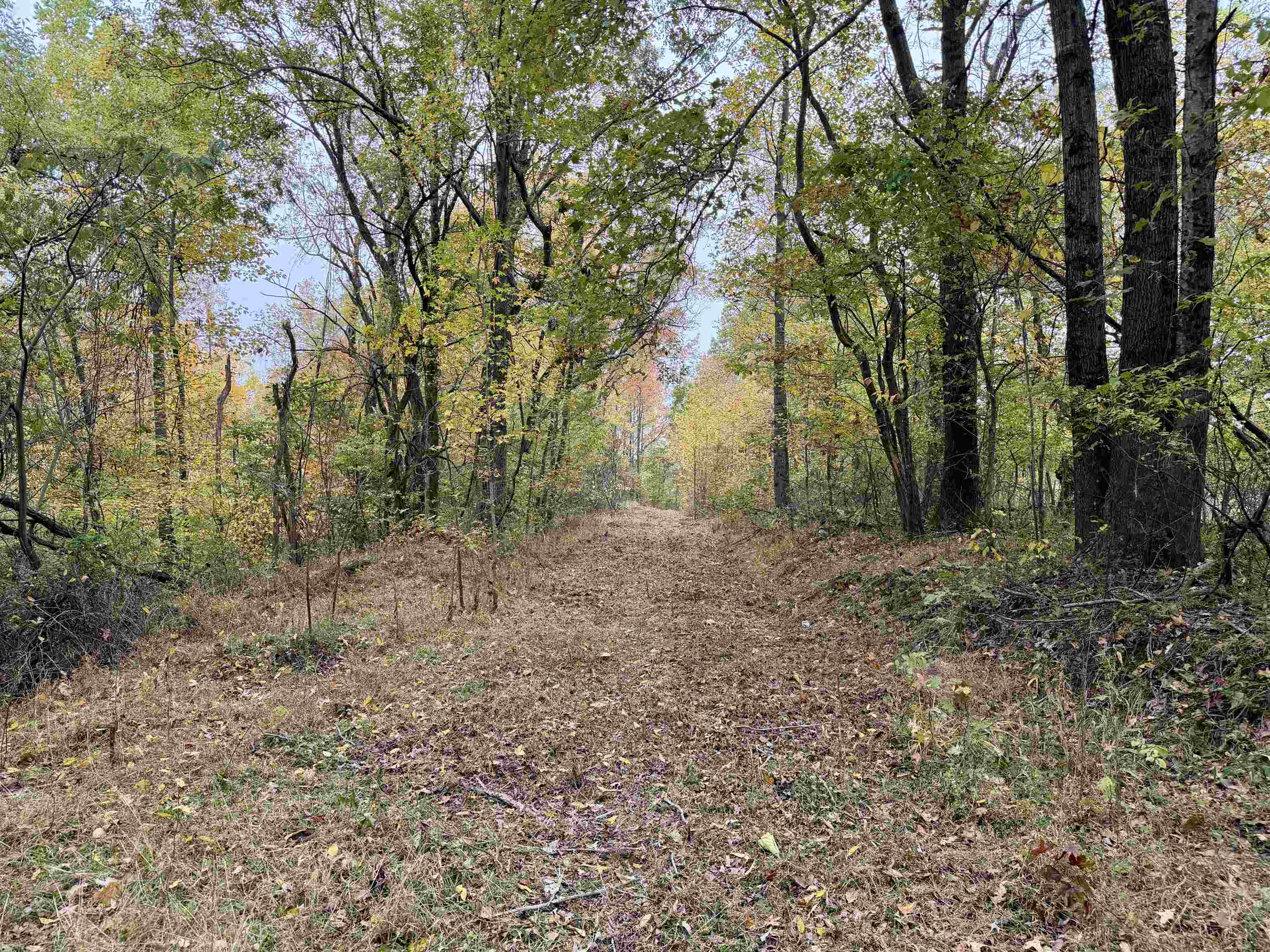 William Switch Road Ripley, TN 38063 - Photo 13 of 39