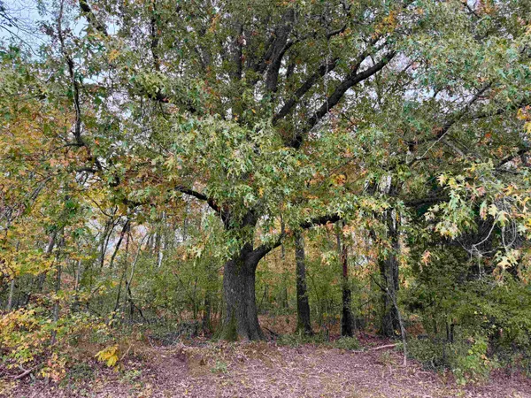 $543,165 | William Switch Road, Ripley, TN 38063