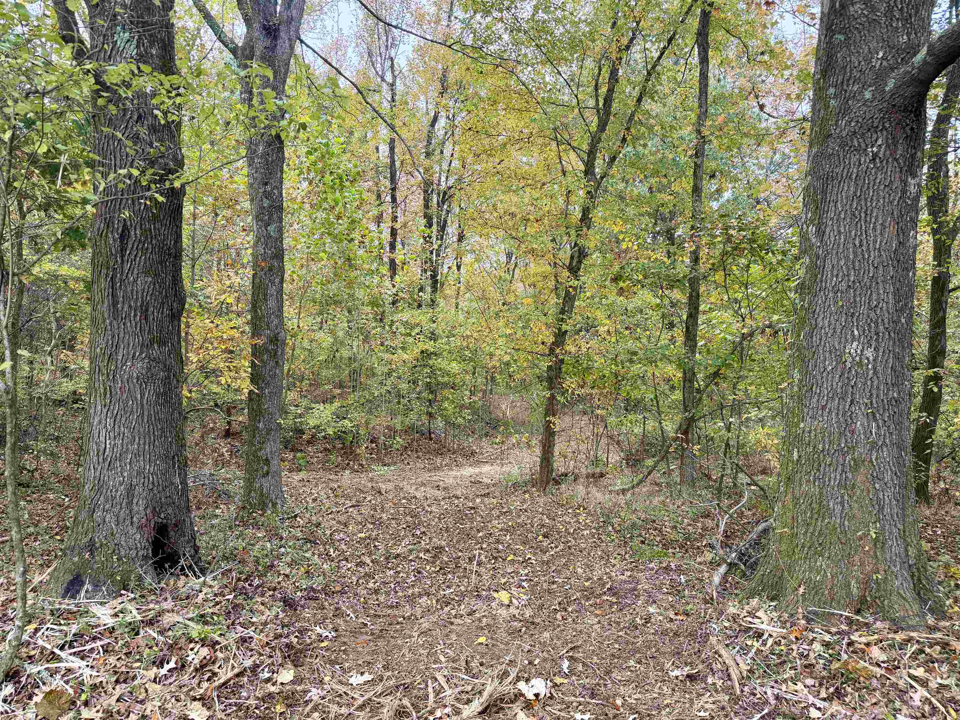 William Switch Road Ripley, TN 38063 - Photo 15 of 39