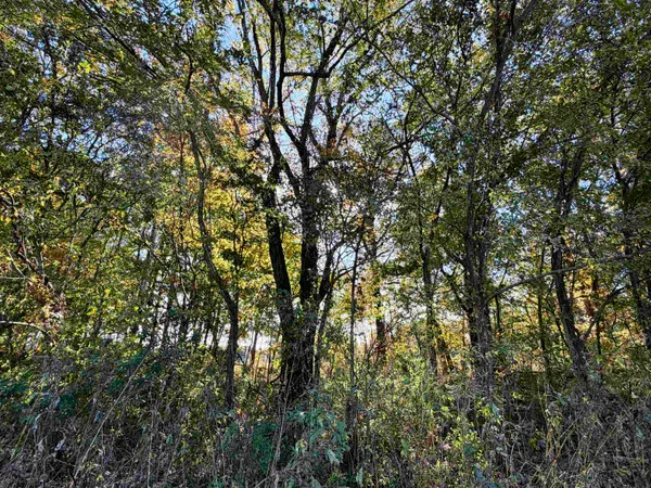 $543,165 | William Switch Road, Ripley, TN 38063