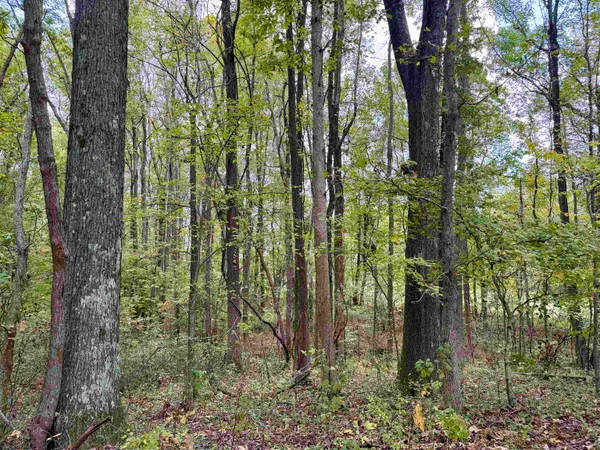 $543,165 | William Switch Road, Ripley, TN 38063