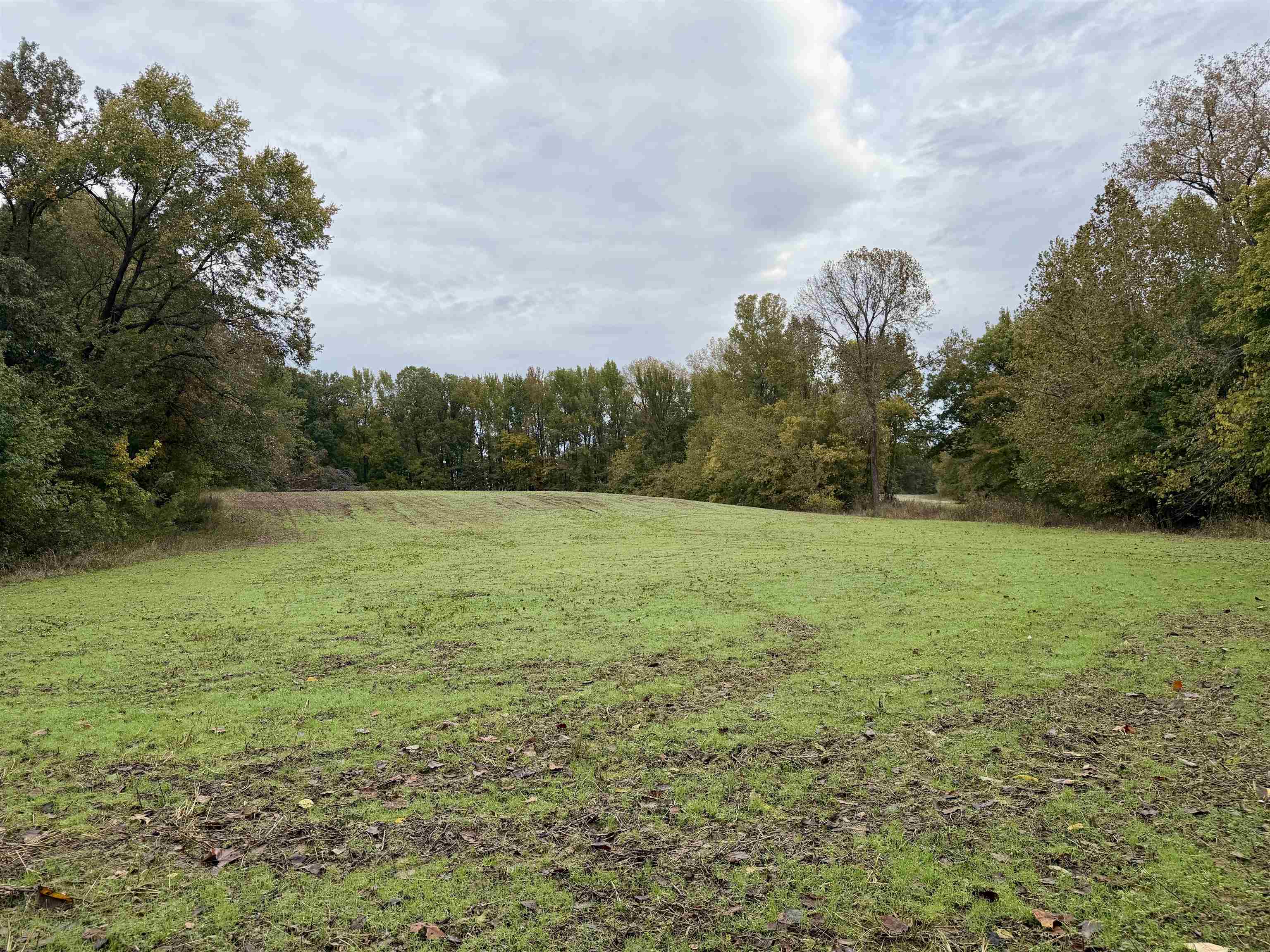 William Switch Road Ripley, TN 38063 - Photo 19 of 39