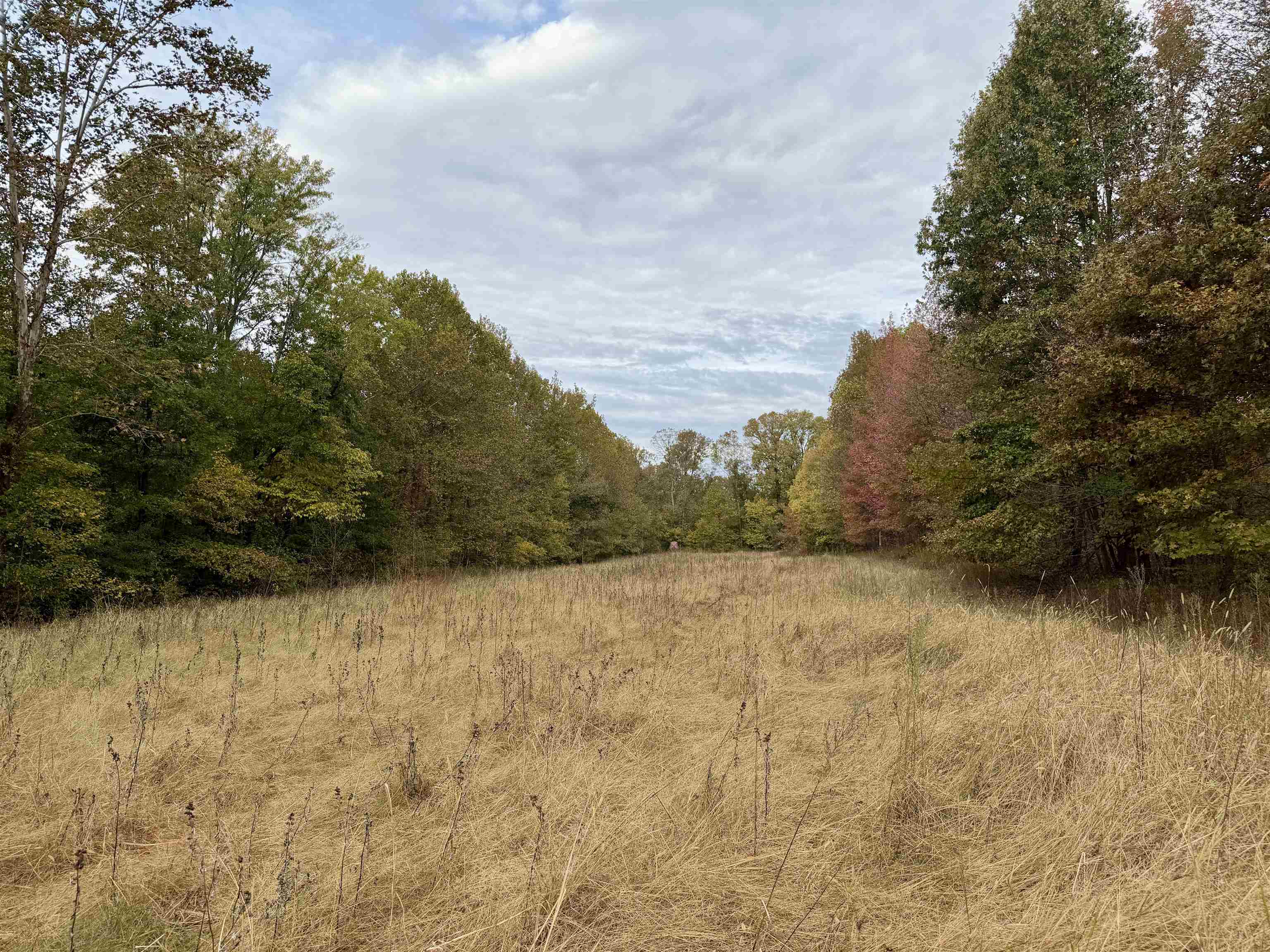 William Switch Road Ripley, TN 38063 - Photo 22 of 39