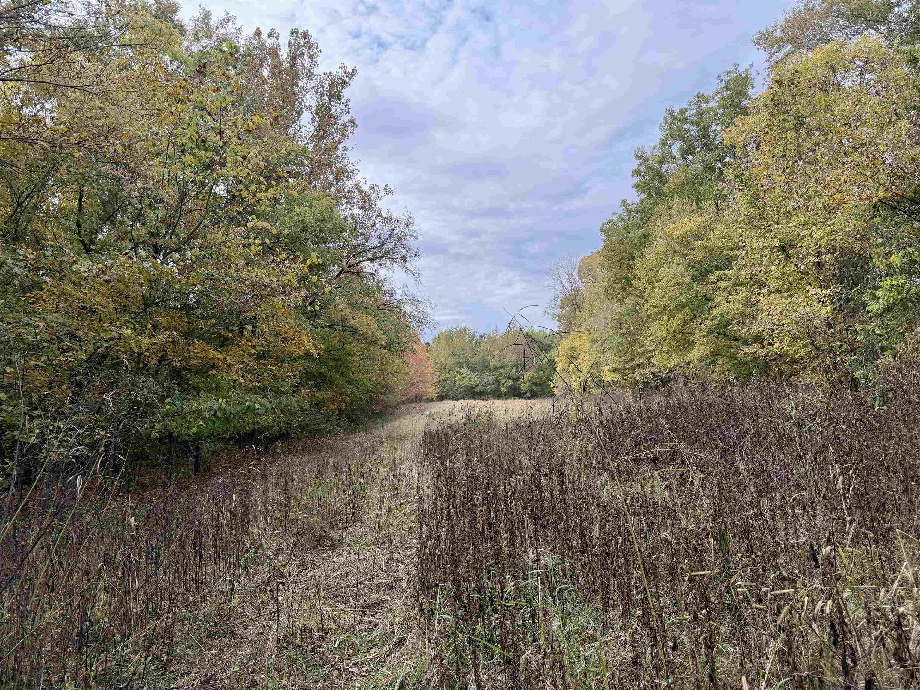 William Switch Road Ripley, TN 38063 - Photo 23 of 39