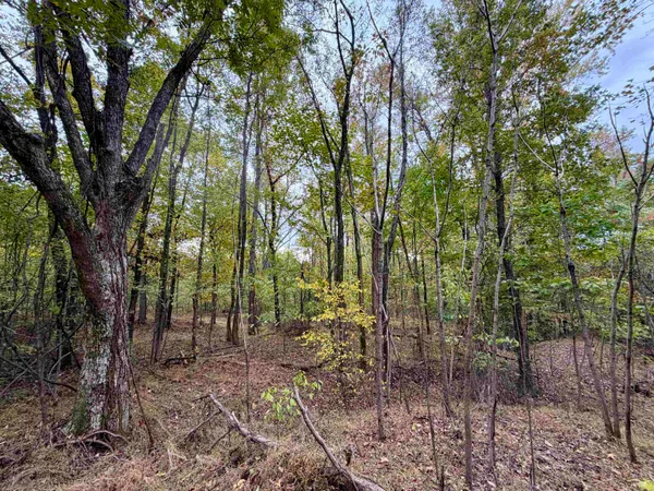 $543,165 | William Switch Road, Ripley, TN 38063