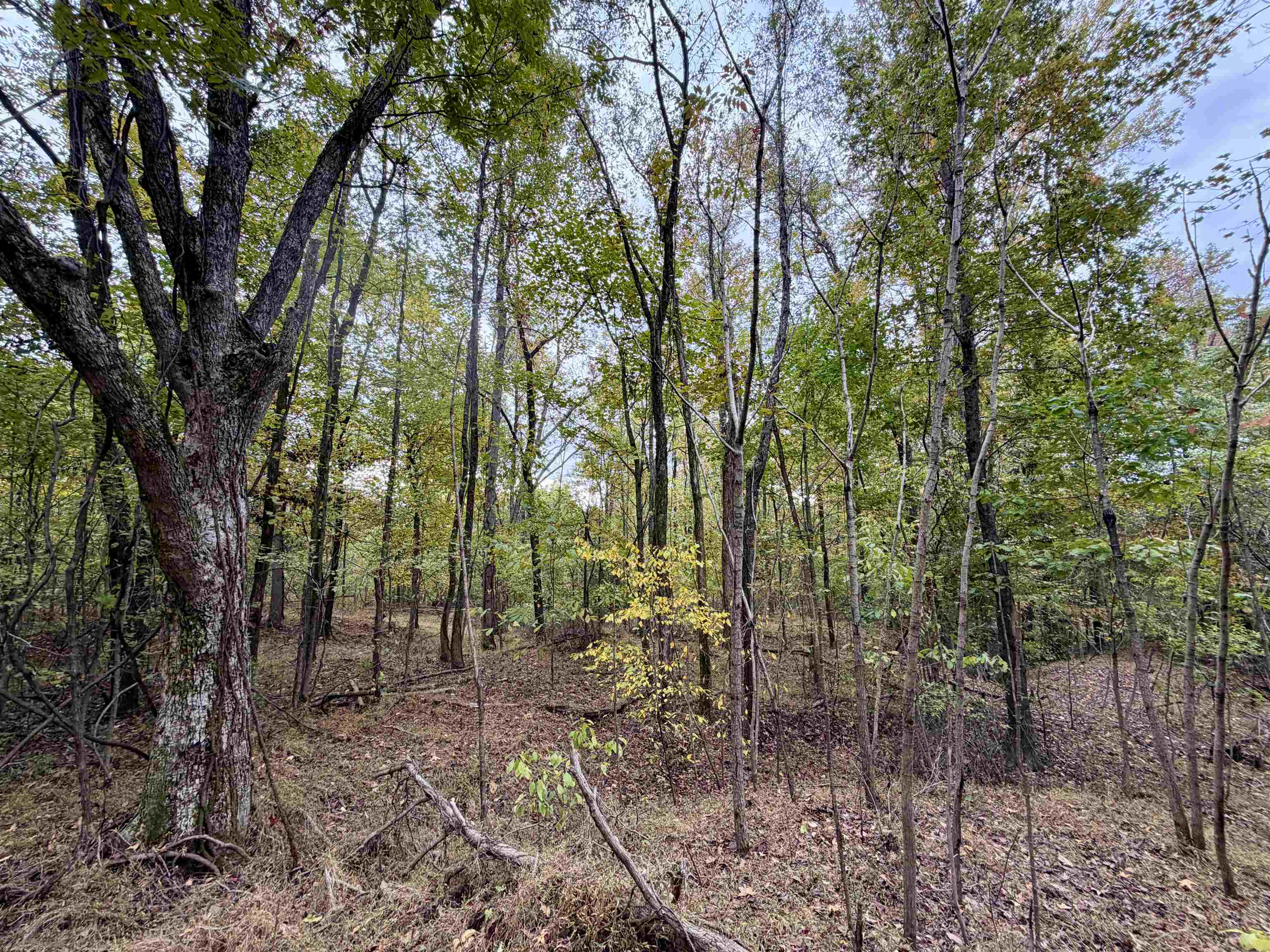 William Switch Road Ripley, TN 38063 - Photo 27 of 39