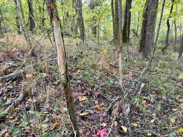 $543,165 | William Switch Road, Ripley, TN 38063