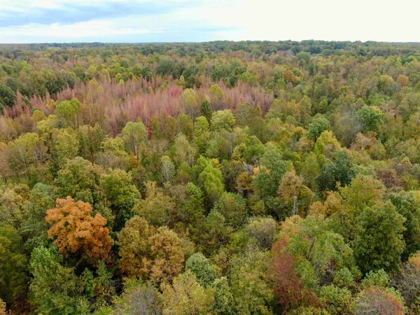 $543,165 | William Switch Road, Ripley, TN 38063